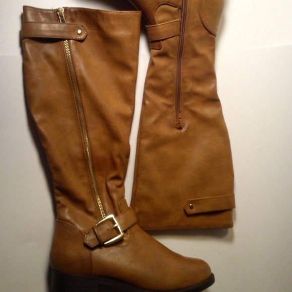 Falabella Americanino - Picture 7 of 8